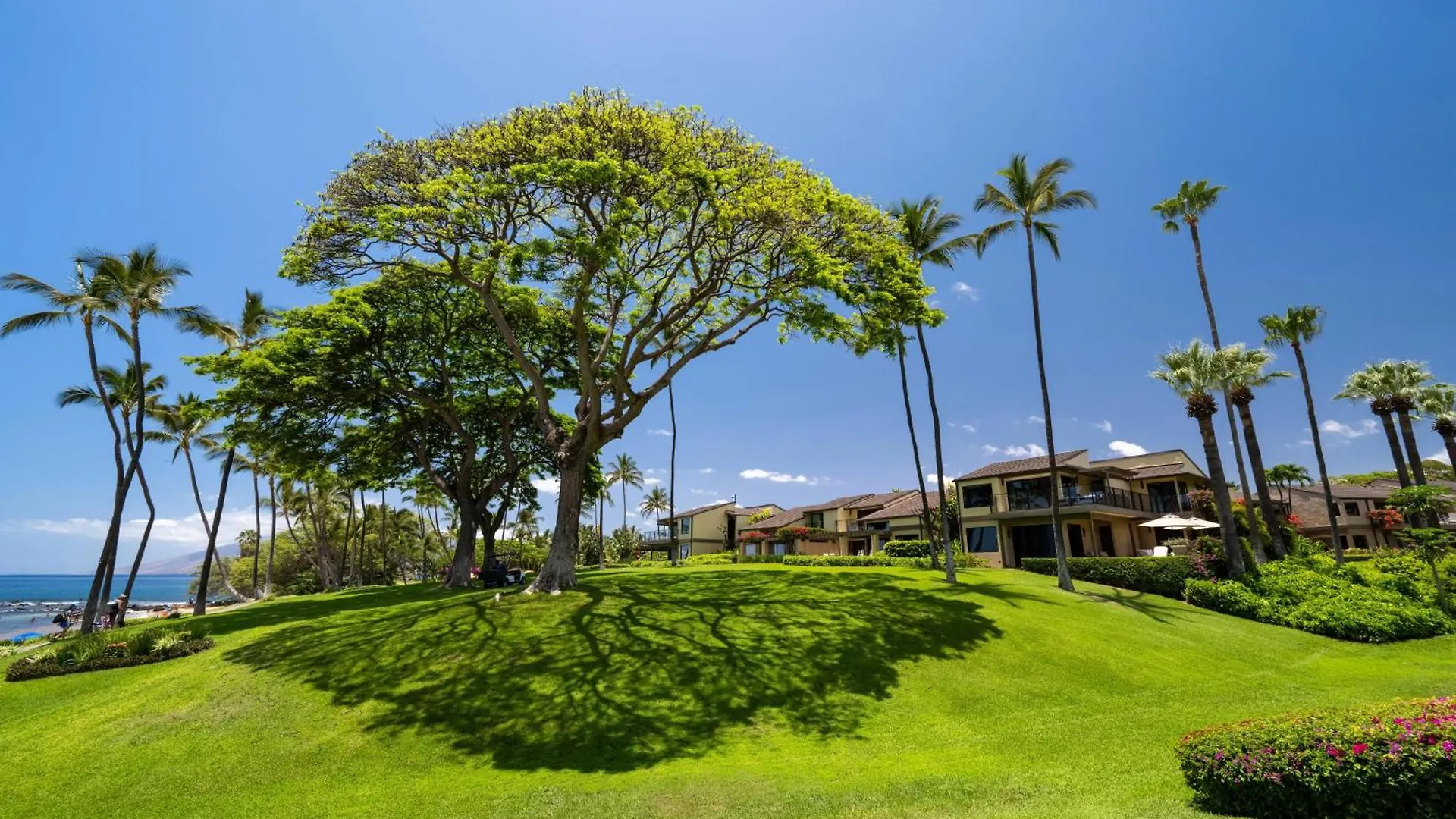Elua 2301 Villa Wailea  Wailea (Maui)
